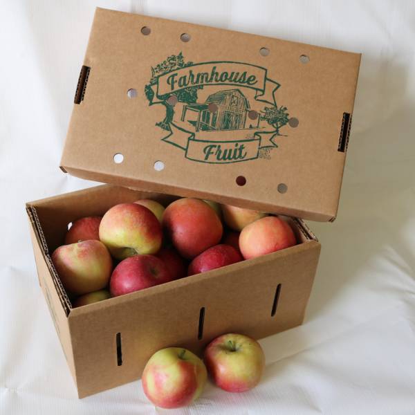 Summit City Organic Apples Fuji 3-min Summit City Organic Apples Fuji 3-min