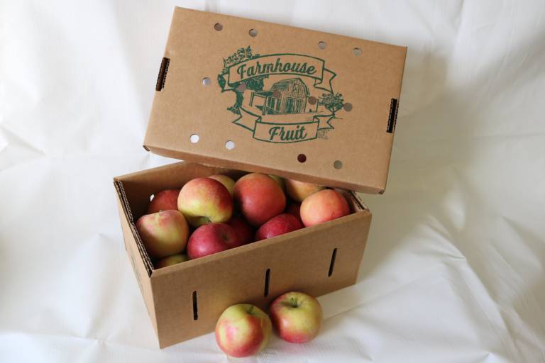 Summit City Organic Apples Fuji 3-min Summit City Organic Apples Fuji 3-min