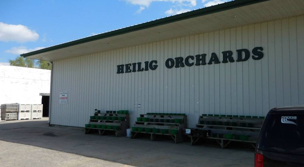 Heilig Orchards